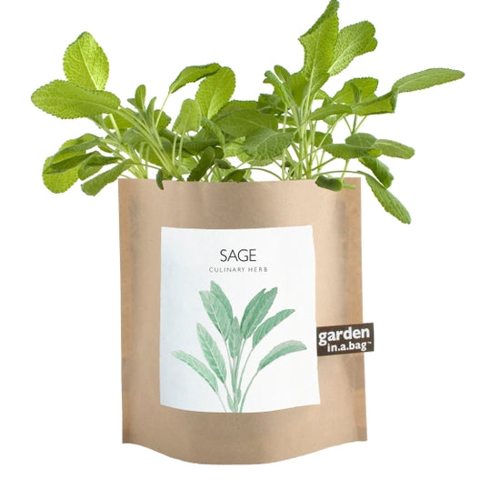 Sage Garden in a Bag